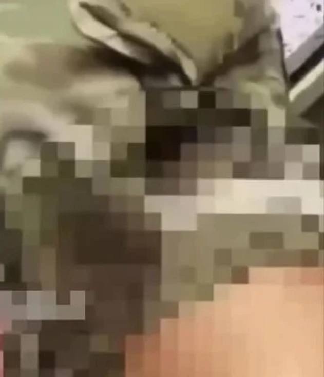 😳 Наши войска взяли в плен снайпершу ВСУ на Курском на...