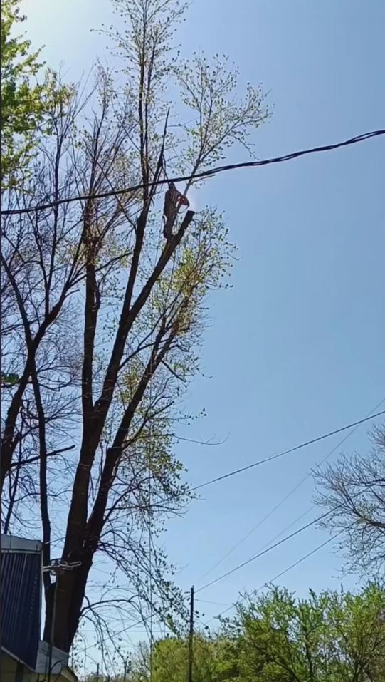 Технология