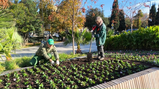 Площадь Советская станет одной из самых ярких и зелёны...