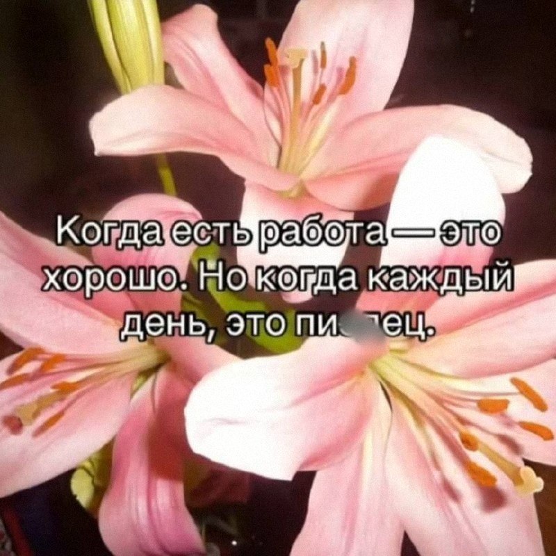 Утренняя подборочка