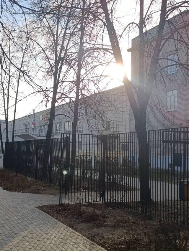 Внушительный забор. От кого огорадились?