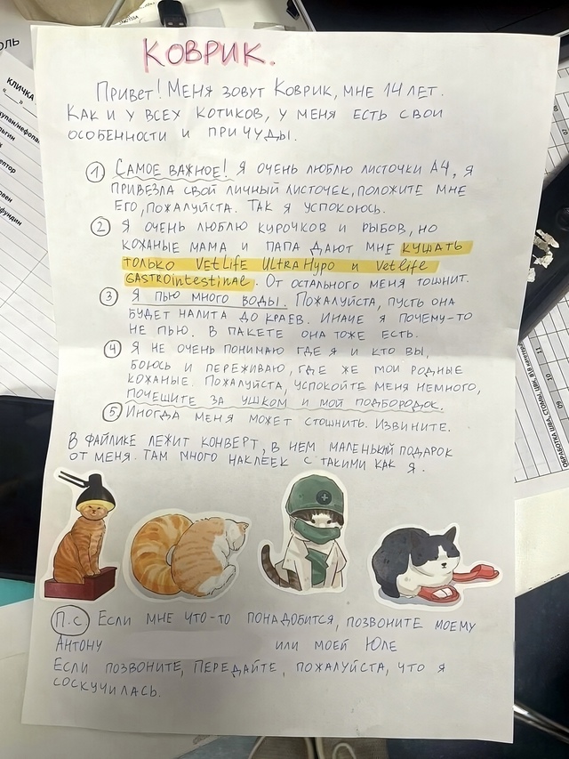 В Москве в ветеринарную клинику на операцию привезли к...
