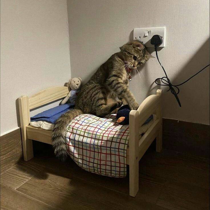 pov: я с утра полчаса пытаюсь поймать контакт с жизнью