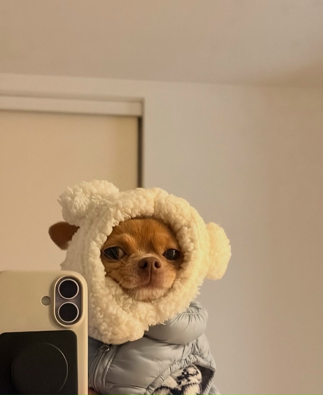 Ну каков красавчик, ну вы только посмотрите