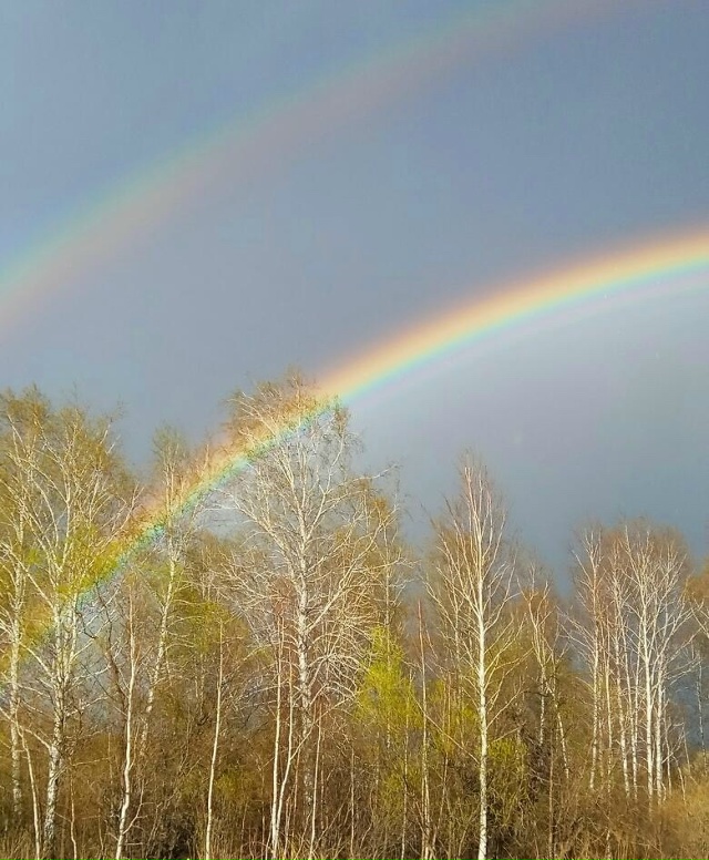 Какая красивая радуга в Субботниках?
Впервые вижу та?...