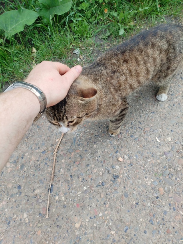 Когда приезжаешь в деревню, а тебя сходу встречает мес?...