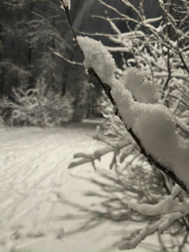 Где-то уже зима?а у нас дожди. Хотите зиму настоящую р?...