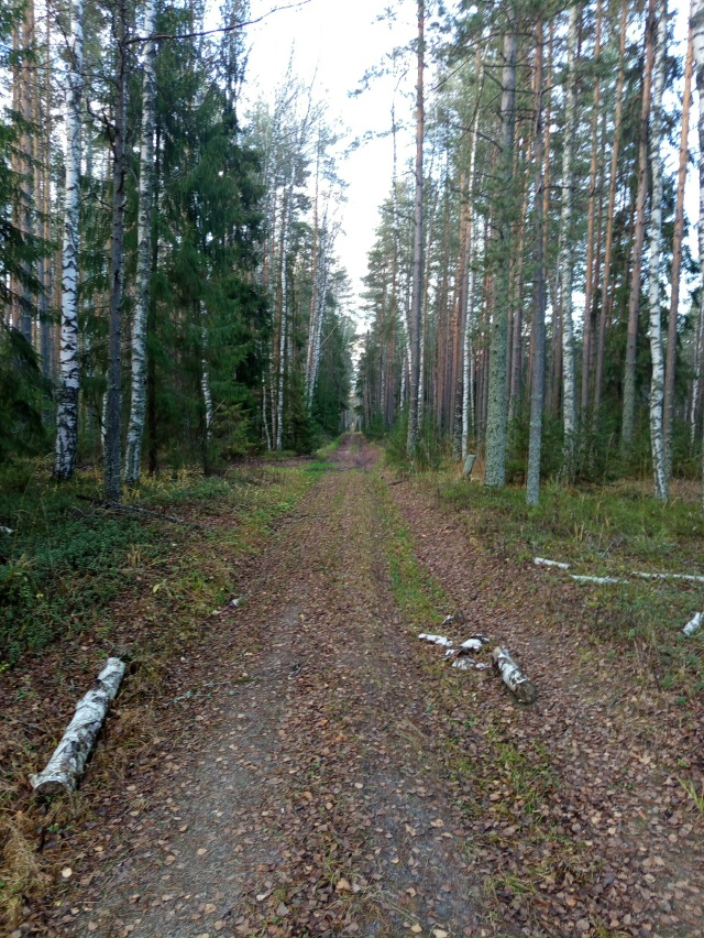 ⚡ Планировал катнуть
В последний теплый денек, но всё ...