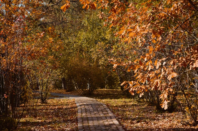 Уваровский район.
