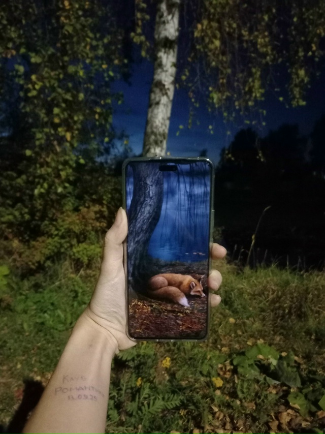 ✨ Пришло время подвести итоги конкурса фотографий «Ма...