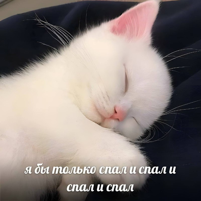 субботнее 🫰🏻