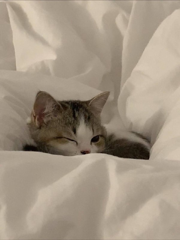 Ну идем уже споть, я же жду тибя в кроватке :3