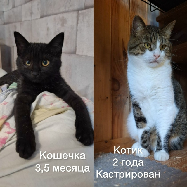 К ПРОЧТЕНИЮ КАЖДОМУ ЖИТЕЛЮ НАШЕГО ГОРОДА‼️
Забота о ?...