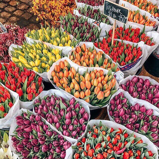 Мысленно сменить зиму на весну и влюбиться.
Эльчин Саф...