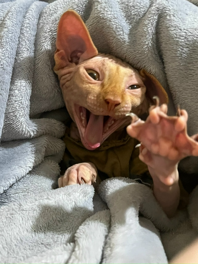 Совсем недавно Владимиру миновало 4 месяца.
Про всрато...