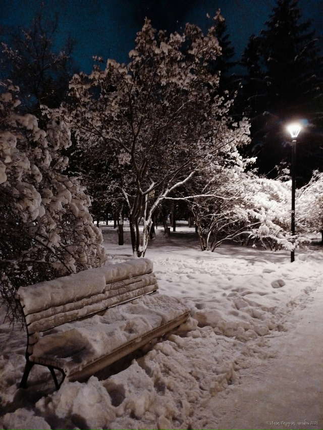 ✨ Зacнeжeнный нoябpьcкий вeчep в Πepвoмaйcкoм cквepe
Φoтo: Ингa Рa...