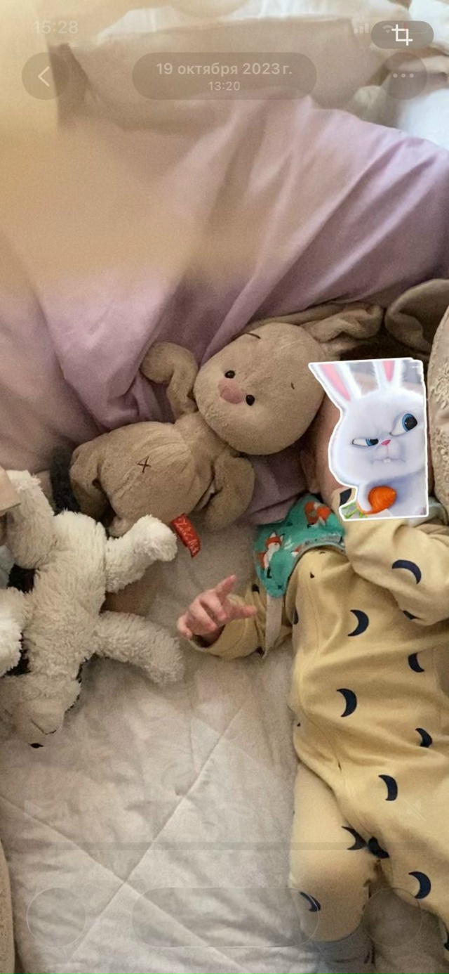 Всем здоатсвуйте!!потеряли игрушку зайца ,если кто то н...