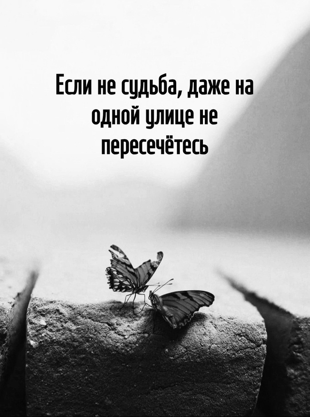 Вот поверьте