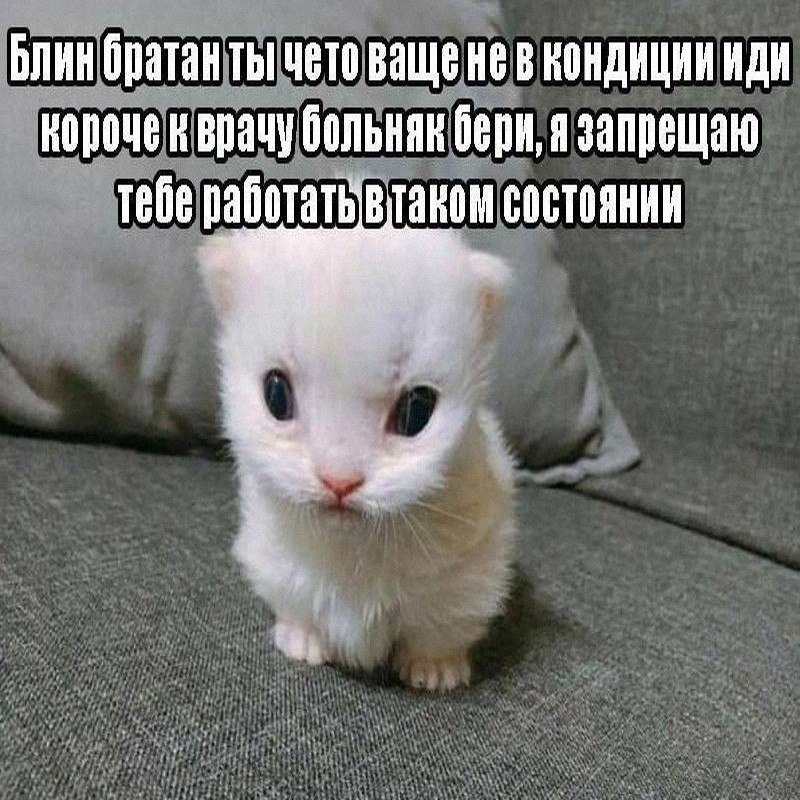 Утренняя подборочка