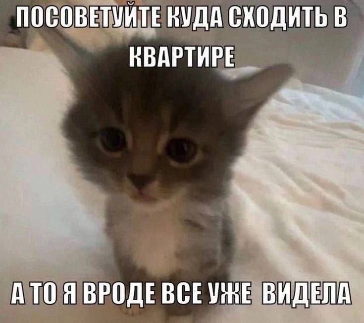 Утренняя подборочка