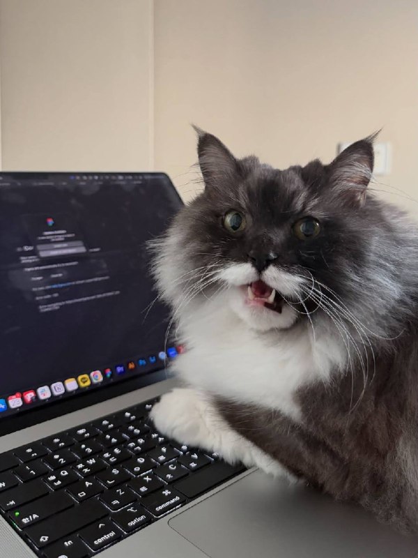 А как рабкотать?? У меня же лапке!!