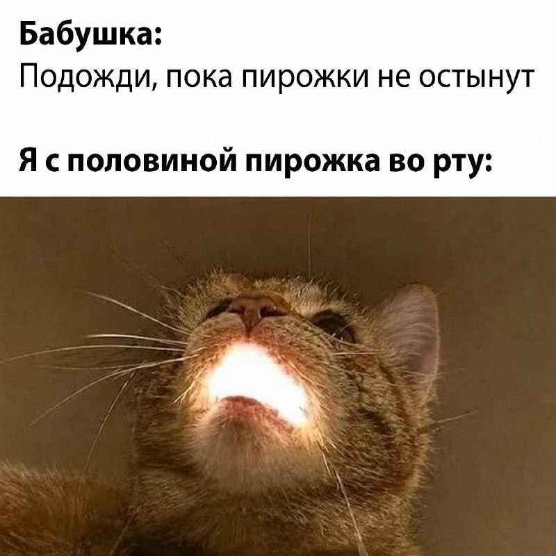 Утренняя подборочка