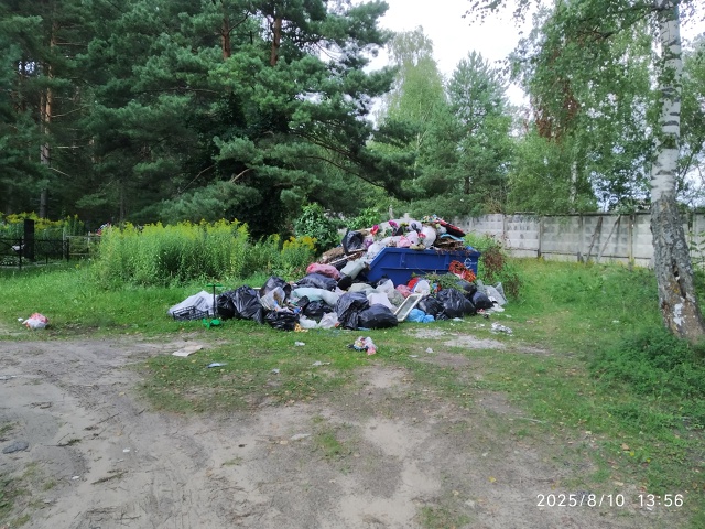 Интересно, мэрию сколько раз в месяц надо будить насчё?...