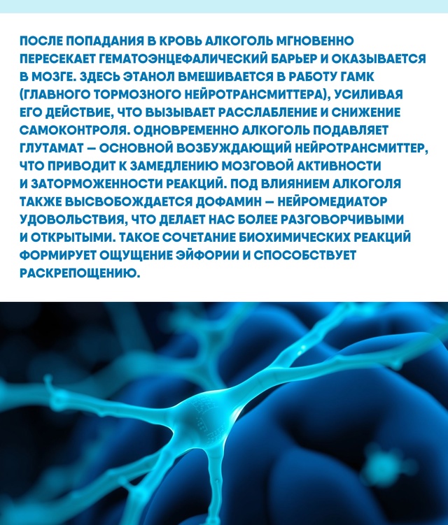Понимание того, как алкоголь влияет на работу мозга, по...