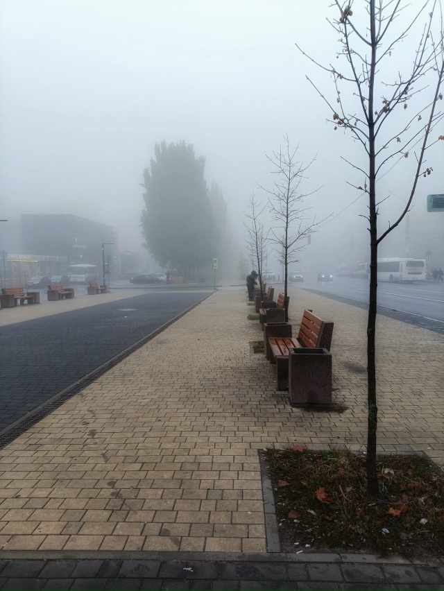 Туманный осенний Воронеж. Город преобразился в декора?...