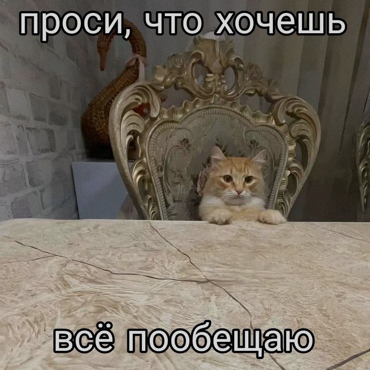 Ночная подборочка
Выходные, не спим