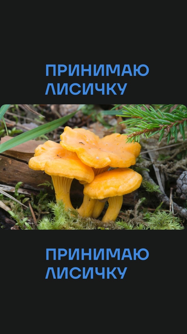 Обращаться: [id669499987|Анна Нефедьева]