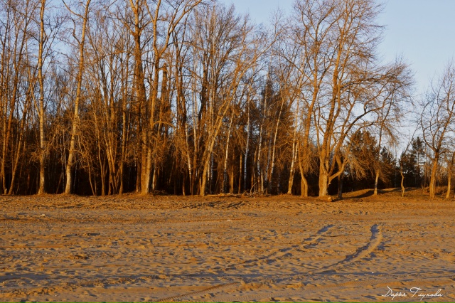 В любое время года, суток, при любой погоде, люди находя...