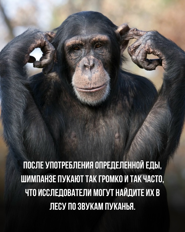 Подборка познавательных фактов.