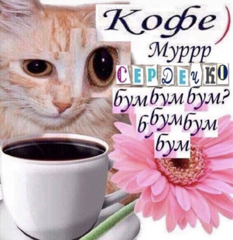 Утренняя подборочка