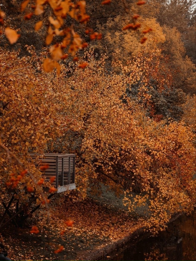 Красногвардейские пруды
Три пруда и небольшой парк-с...