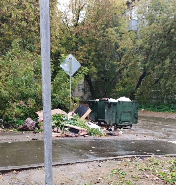 ❓ Когда уже уберут мусорные баки с проезжей части?
Пер...