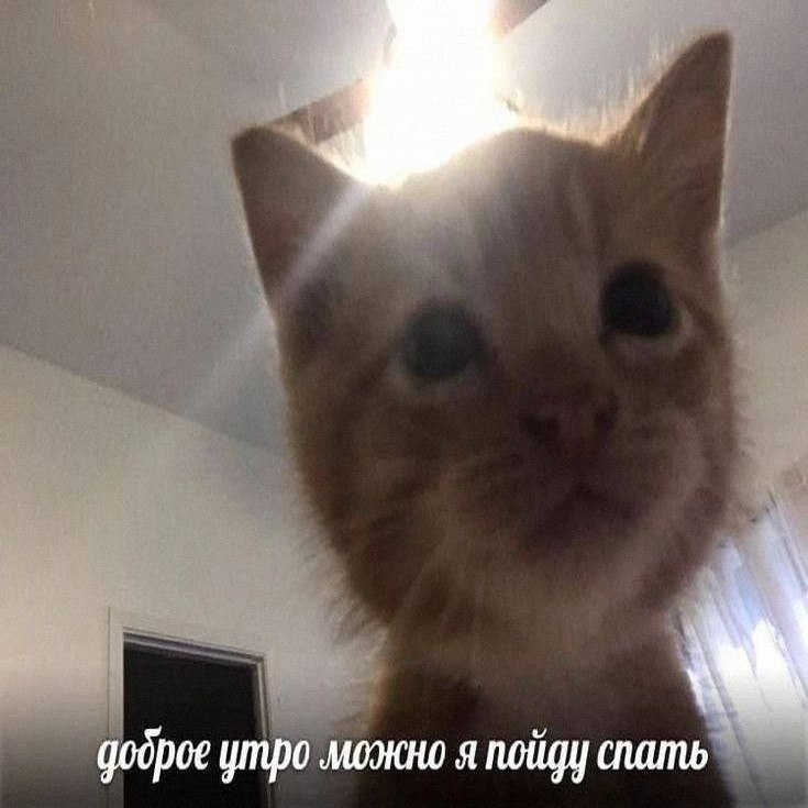 Утренняя подборочка