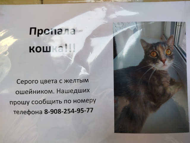 Ежедневно в 21 час по местному времени Ваши вопросы.
1⃣ ...