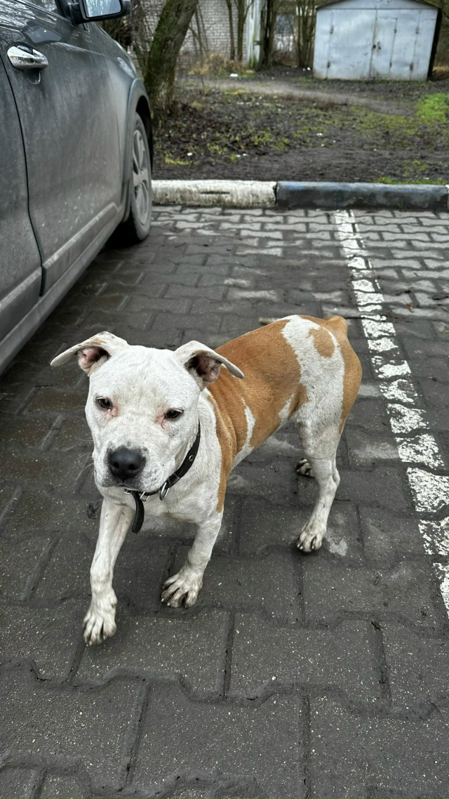 01.12.2025 в 13:00 на заправку Роснефть (при выезде из города в...