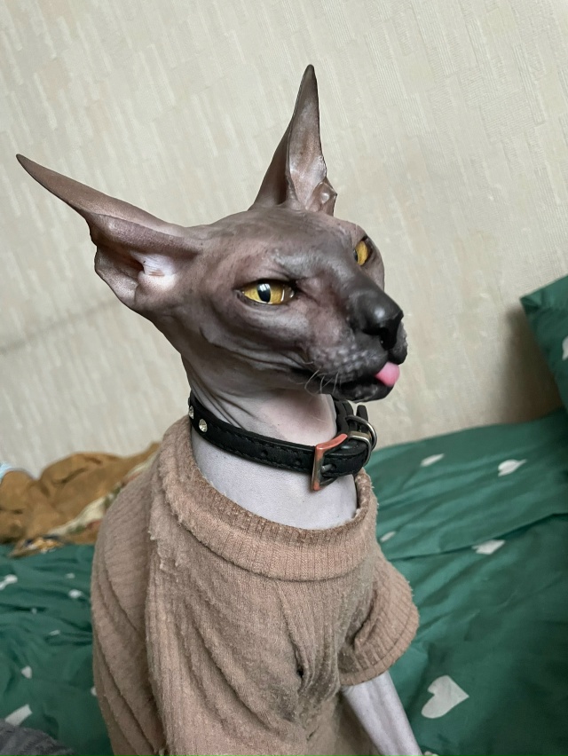Любимый ребёнок — Лунька