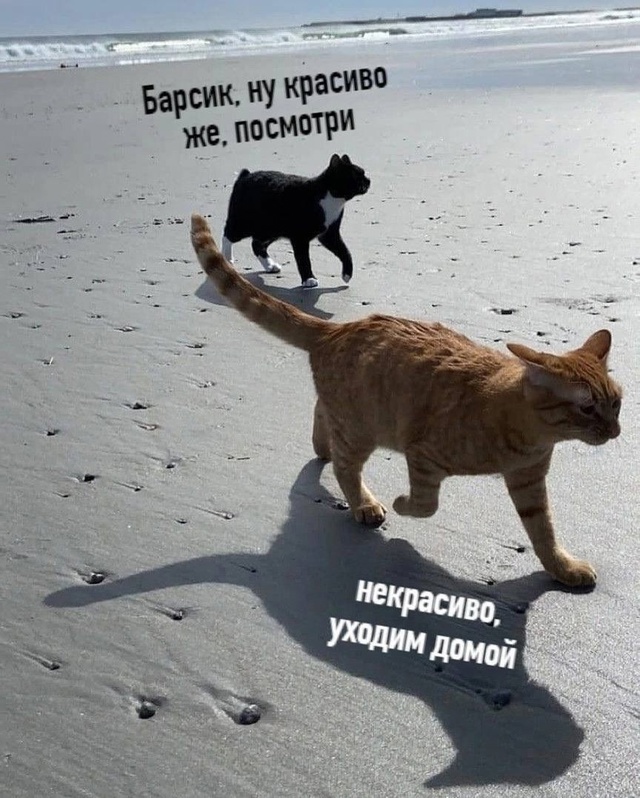 Когда вышла на улицу в свой единственный выходной: