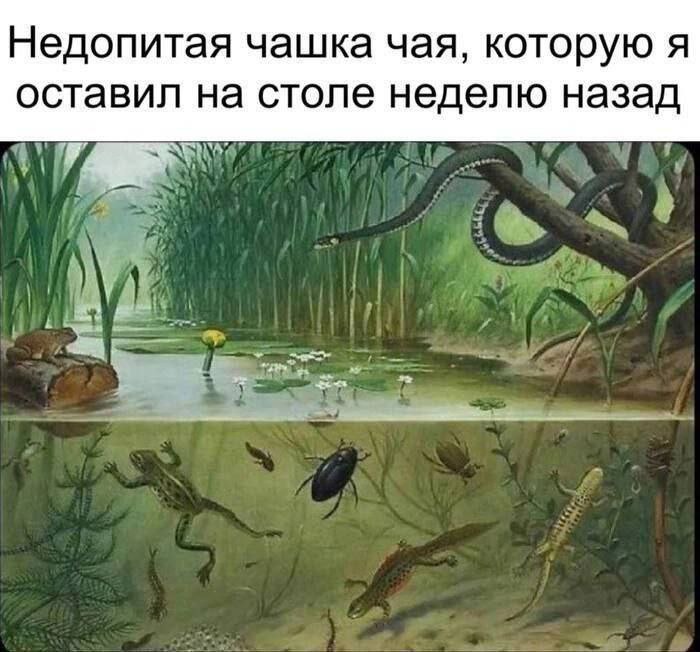 Утренняя подборочка