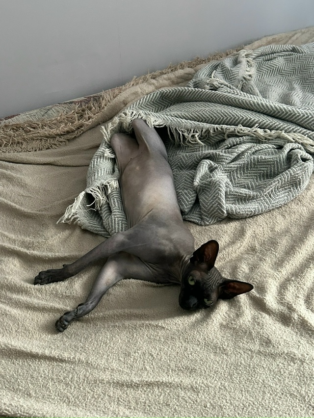 Немножко доволен, немножко не доволен🤣