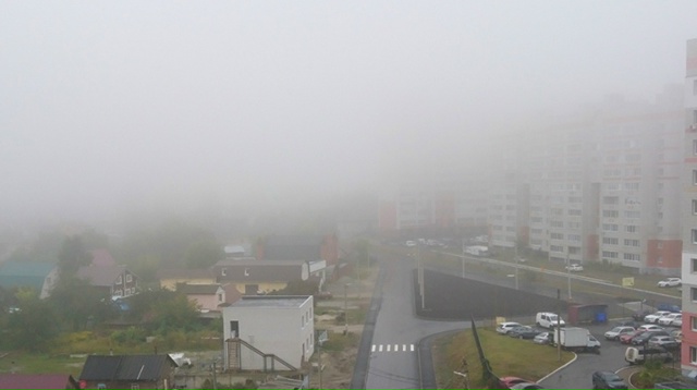 ‼️ Синоптики сообщили жителям Брянской области о дву?...