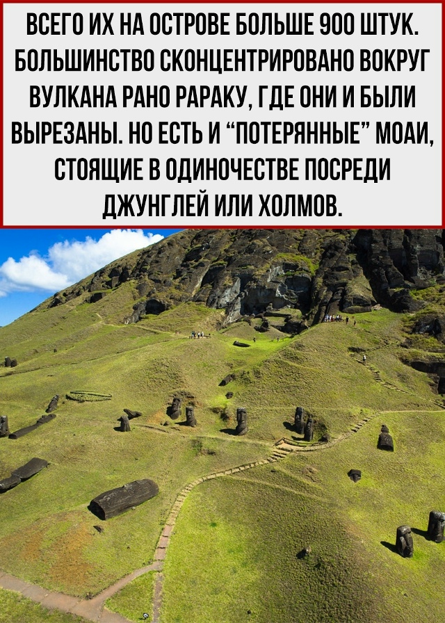 Поделись с тем, кто не знает об этом
Пересылайте посты ...