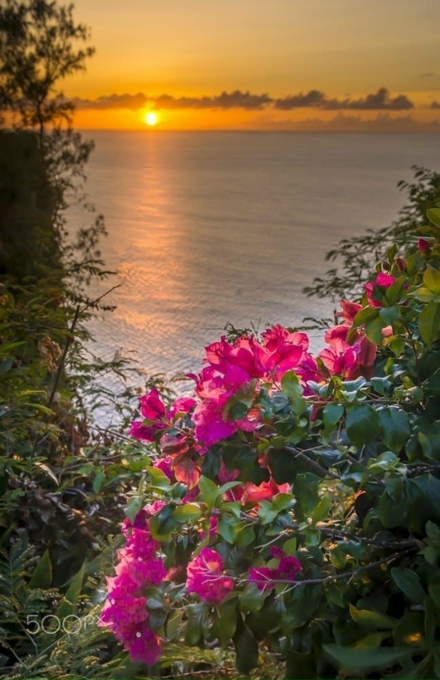 Берегите себя и своё душевное тепло, несмотря на погод?...