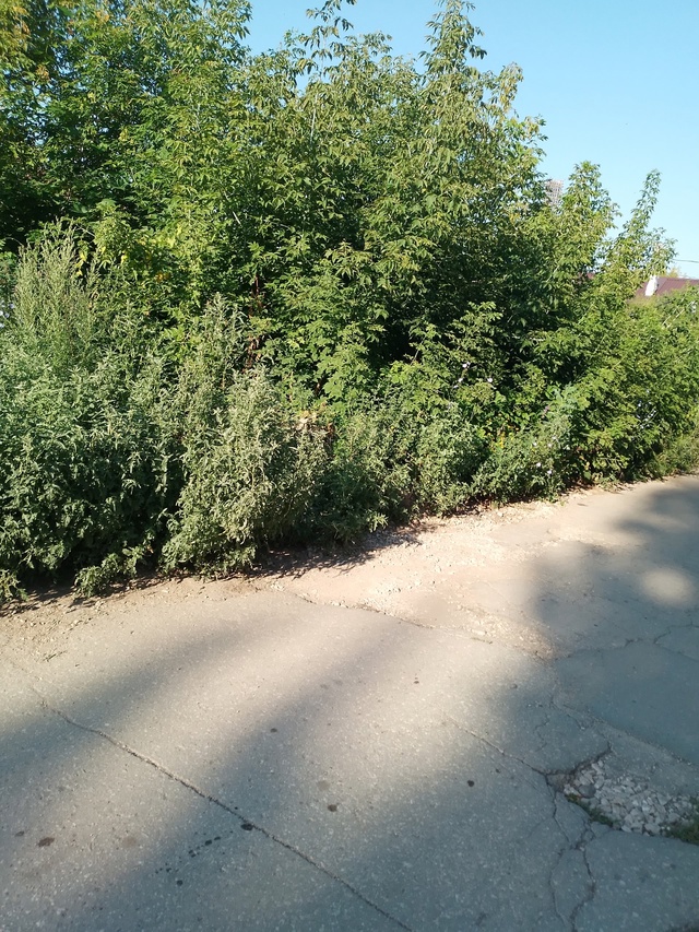 Добрый день
Обращались в городскую администрацию,а во?...