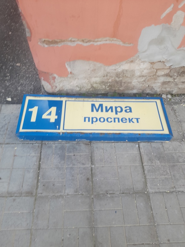 Не знаю сам он упал или ему помогли? Примите меры!