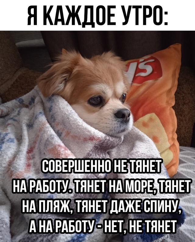 100% понимания
