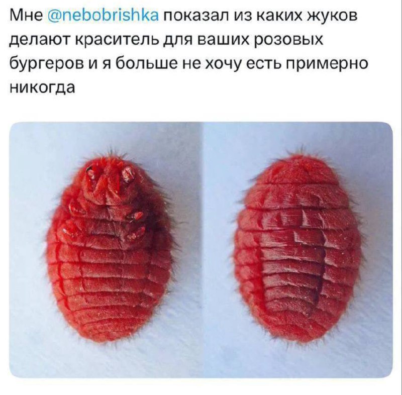 🎀 Во «Вкусно — и точка» сегодня стартовала коллаборация с Hello Kitty В меню появился розовый бурге
